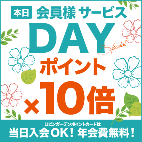 【本日】3/15 ポイント10倍DAY！ | ロビンガーデン