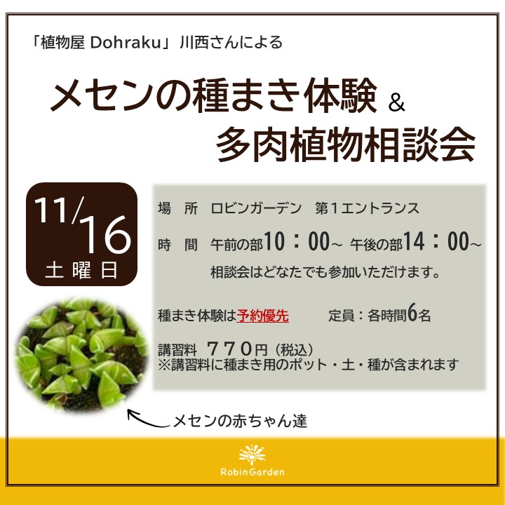 「植物屋 Dohraku」　川西さんによる メセンの種まき体験& 多肉植物相談会 のご案内